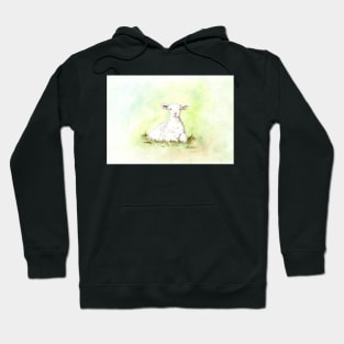 lamb in the grass Hoodie